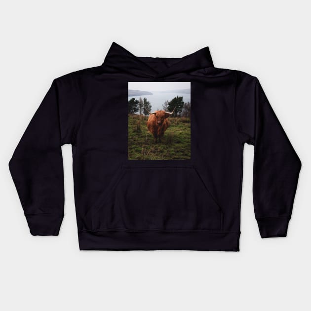 Moody Photograph of Highlands cattle with fjord in the back Kids Hoodie by Danny Wanders